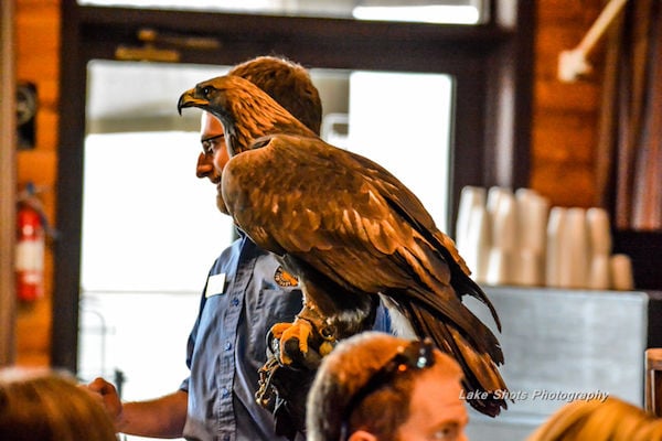 EagleDays2017 020.jpg