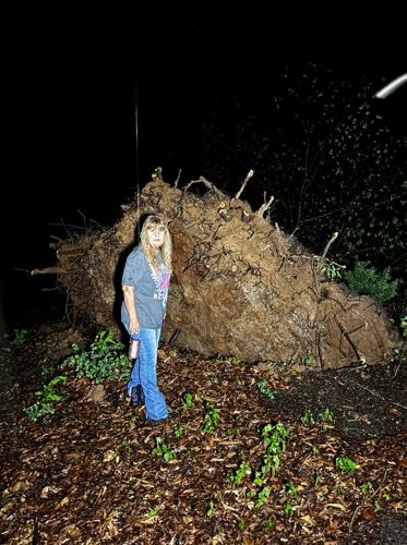 Downed Tree - Jamie Anson.jpg