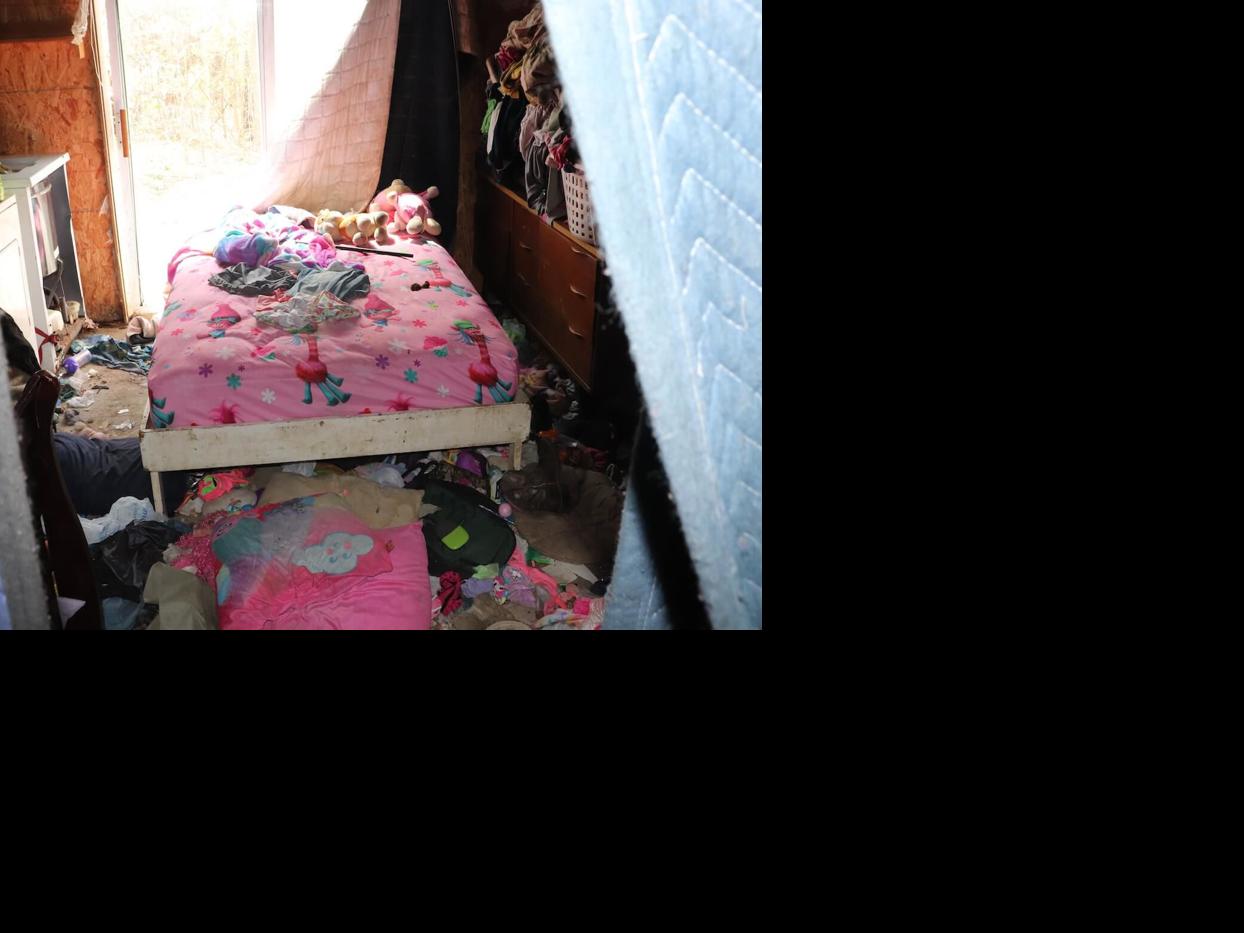 Girl Gets In Suitcase And Cat Attacks Her Children Pets