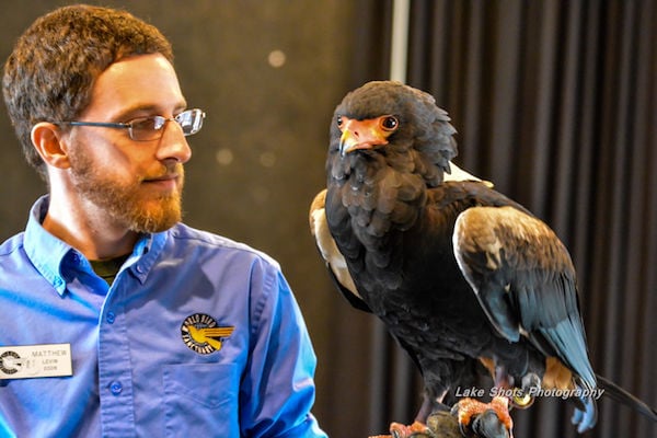 EagleDays2017 050.jpg