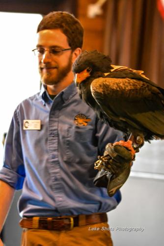 EagleDays2017 058.jpg