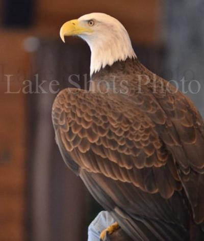 Eagle Days 115.jpg