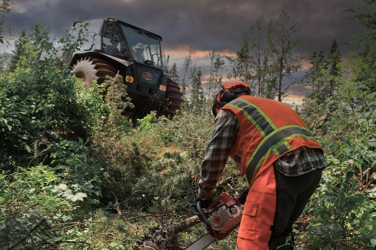 Sasquatch on the job - chainsawing.jpg