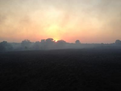 Brush Fire
