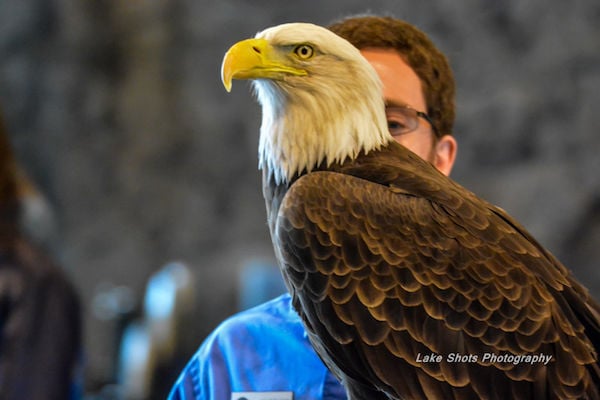 EagleDays2017 090.jpg