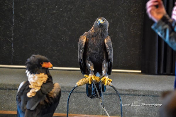 EagleDays2017 092.jpg