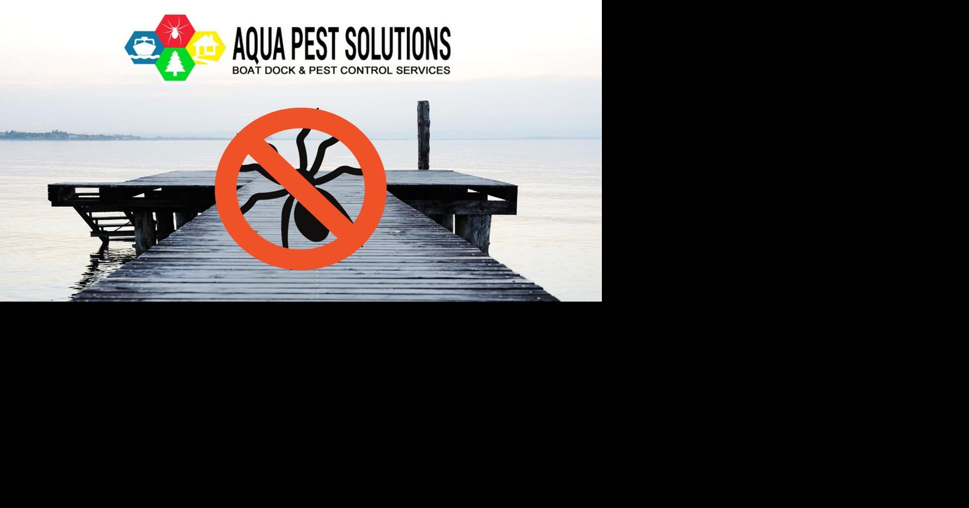Aqua Pest Brings A Fresh Solution For Dock Spider Extermination (And ...