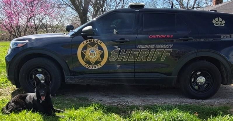 K-9 Shadow & Police Car.jpg