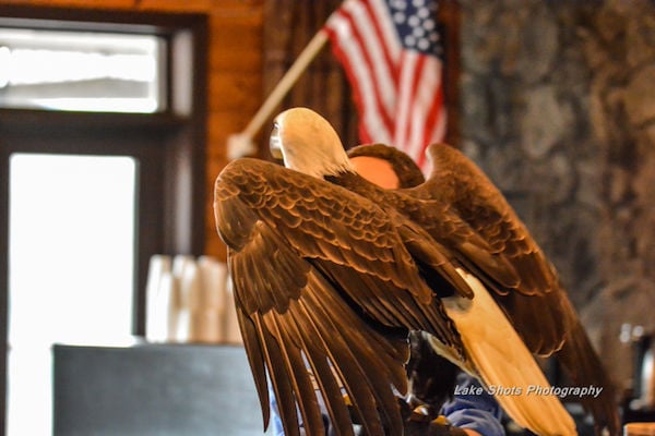 EagleDays2017 093.jpg