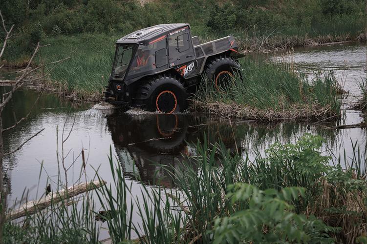 Sasquatch in the swamp.jpg