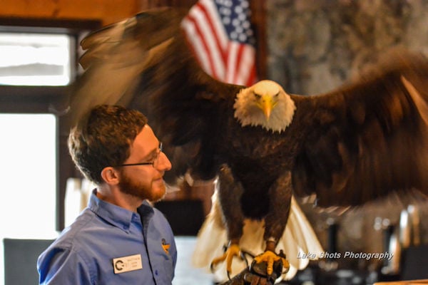 EagleDays2017 096.jpg