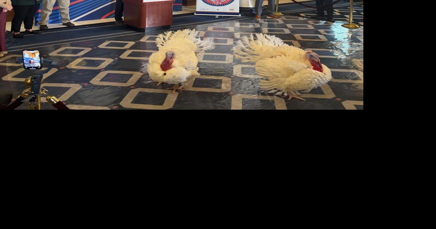 Congressman Don Davis Celebrates North Carolina-Grown Turkeys at Annual White House Thanksgiving Tradition