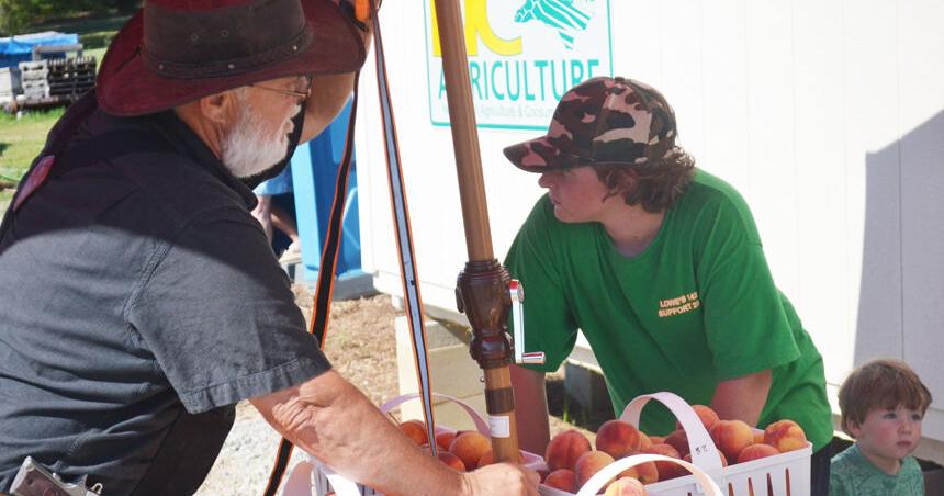 Business Spotlight: Country Pickin’ Farms