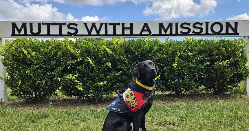 Virginia State Police welcome a four-legged partner dedicated to supporting the wellness of Virginia’s finest