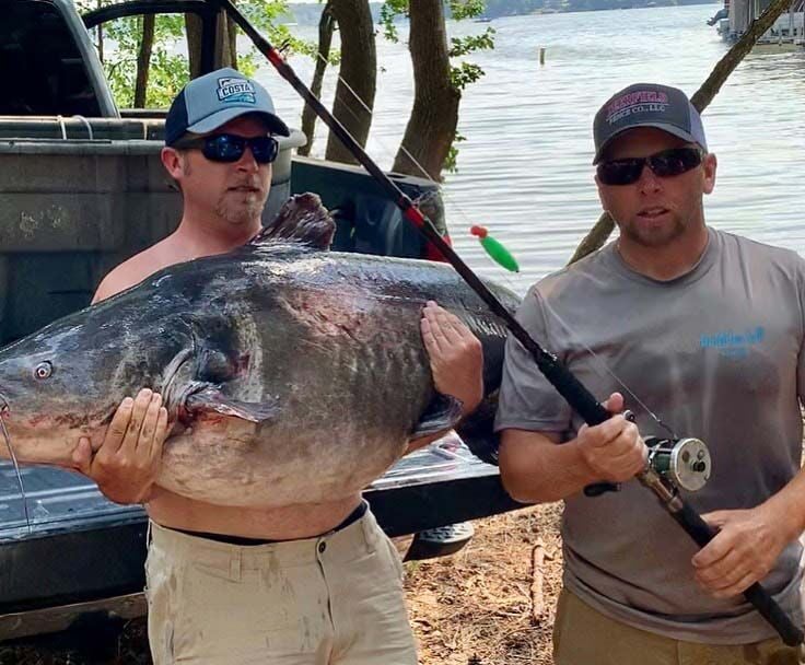 Baird's big Lake Gaston catch News