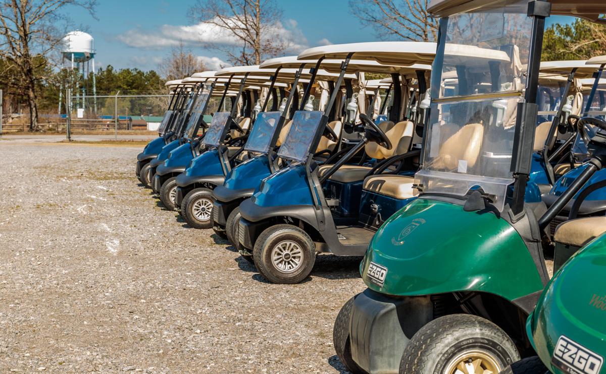 Local golf cart shop celebrates over quarter century serving Lake