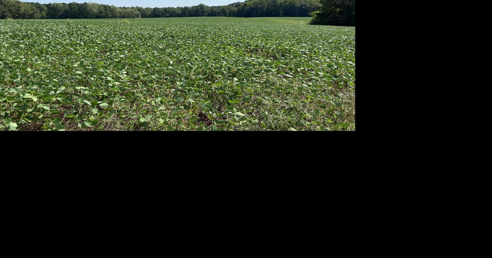 Virginia Land Conservation Foundation opens record $15.3 million grant ...