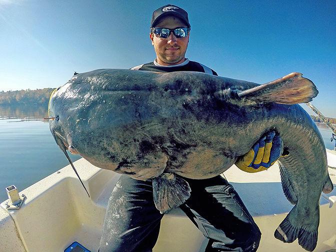 Thankful for the abundance of catfish! News lakegastongazette