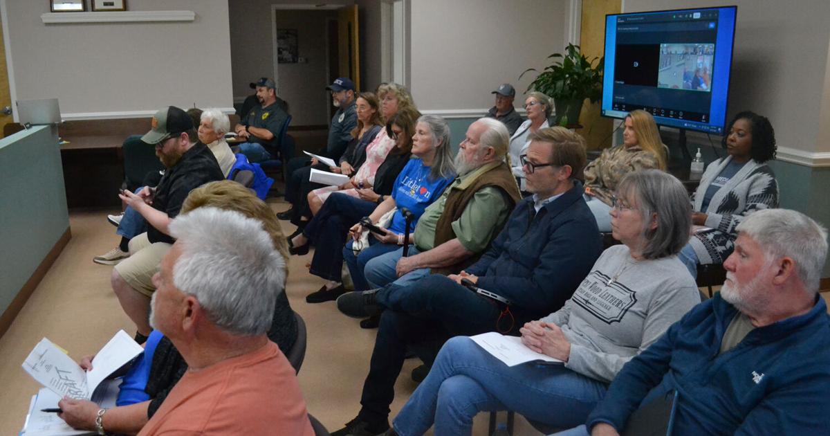 Littleton audit progress expected to move quickly