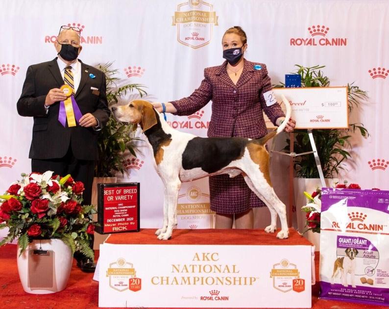 Ep,M5 Emergency Lighting Editable Form : Vienna extends ...