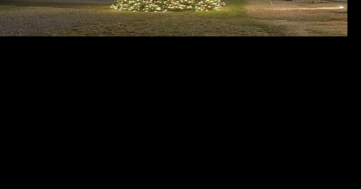 Littleton Lights Christmas Trees News