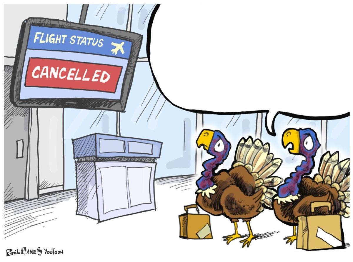 Turkey Flight You Toon