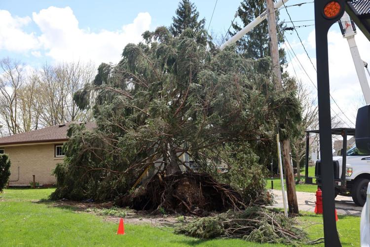 Tree ripped from ground in Waterford following Tuesday's storms