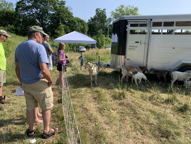 A group of sponsors recently had an opportunity to view the goats