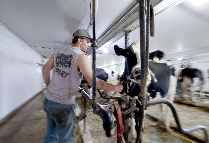 Dairy-Breakfast-Farm-05-20260609-237135.jpg