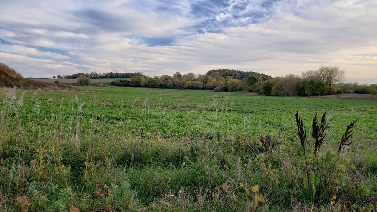 Proposed 'green' cemetery location