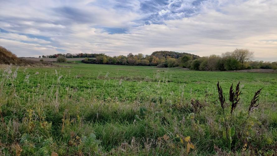 Proposed 'green' cemetery location