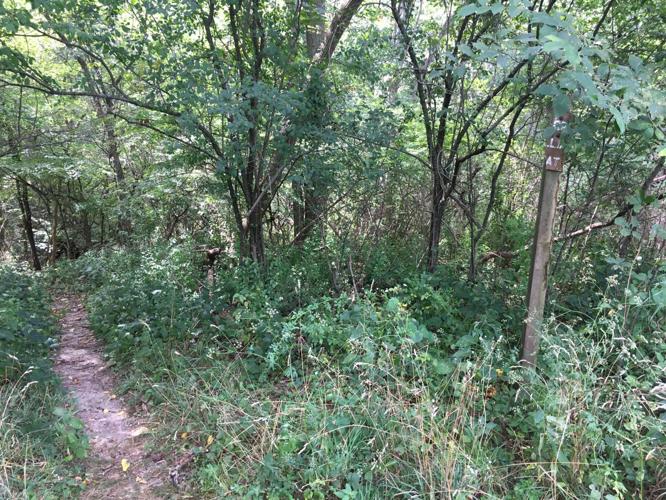Yerkes easement trail