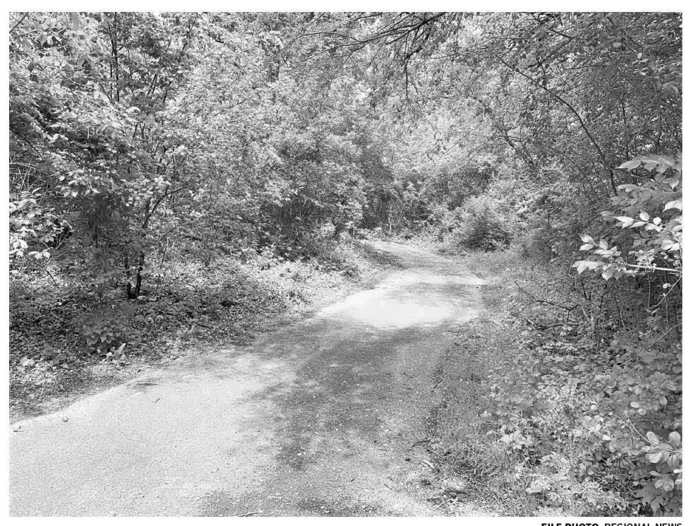 Engineering firm hired to help with trail project