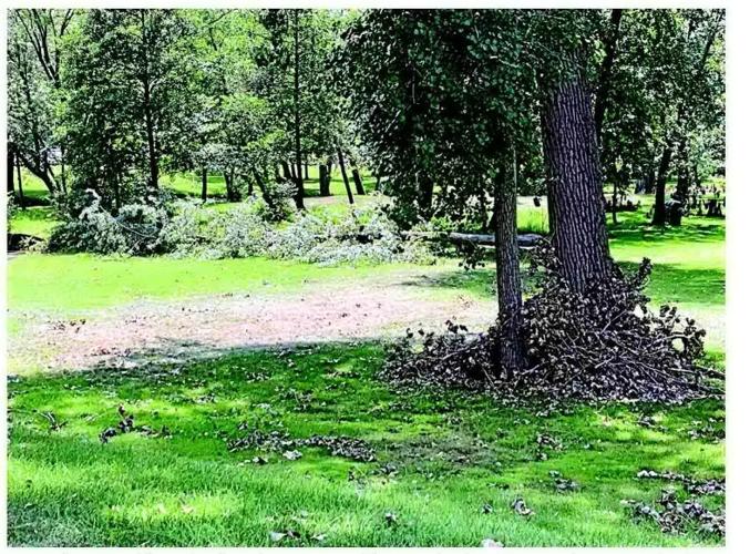 CLEANUP EFFORTS CONTINUE AFTER JULY 3 STORM