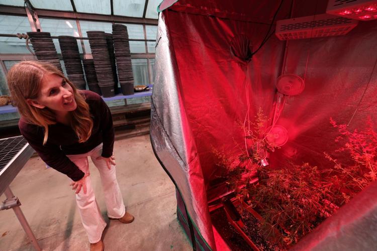 UW-Madison hemp