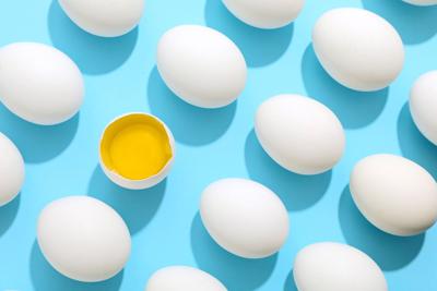 All about eggs: Everything you should know