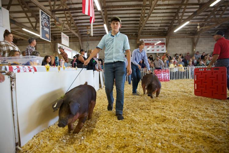 Walworth County Fair ag
