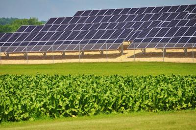 Don't let the NIMBYs slow Wisconsin's shift to solar