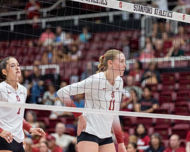 University of California, Davis v Stanford University