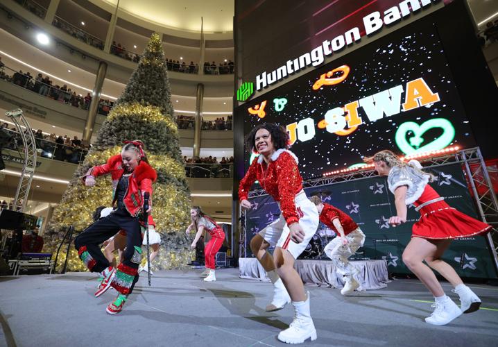 Black Friday Holiday Shopping