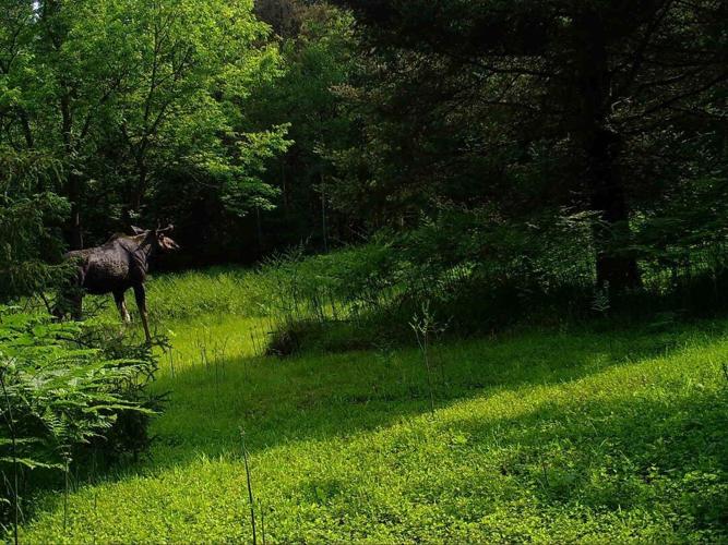 Archery and bow season begins