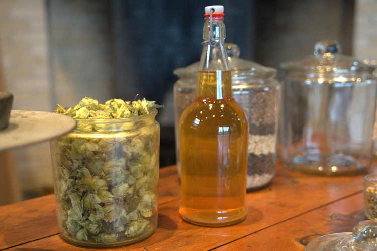 Hops and beer
