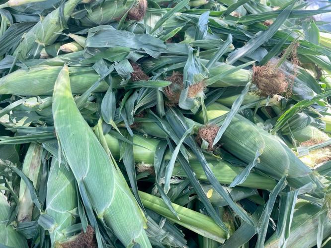 Jerry Smith Farm sweet corn festival