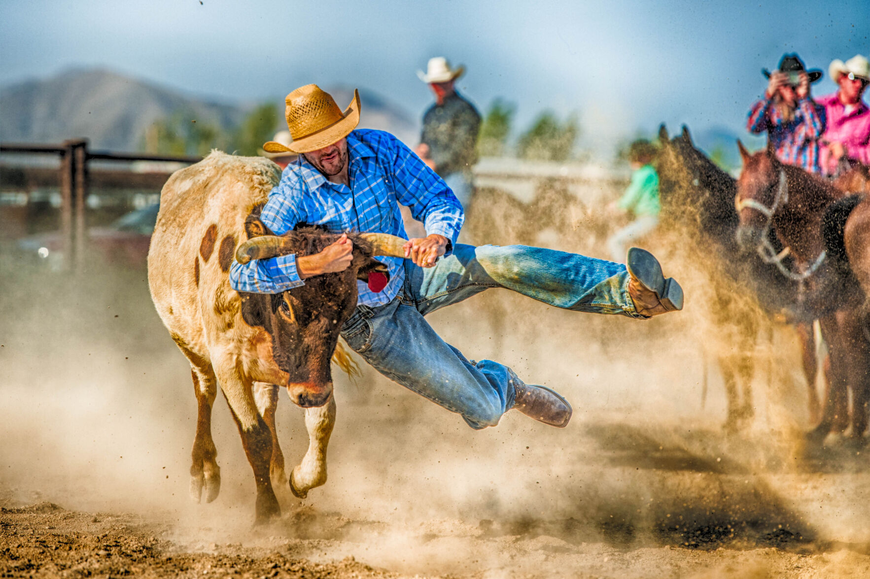 Bull riding
