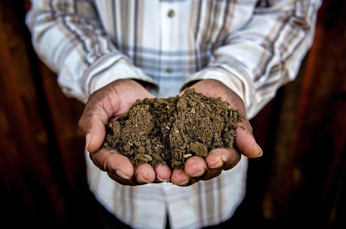 Regenerative farming