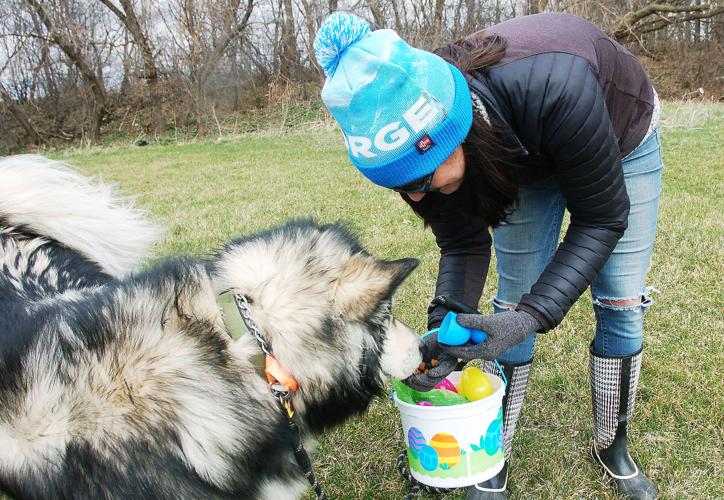 Fontana's Doggie Egg Hunt