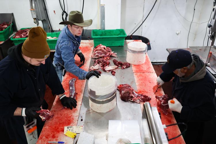 Deer Processing