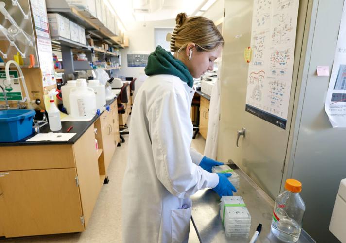 Kamryn in Anita's lab