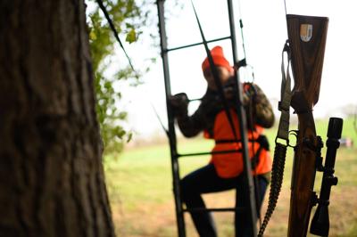 Wisconsin DNR urges hunters to practice tree stand safety and avoid ash trees