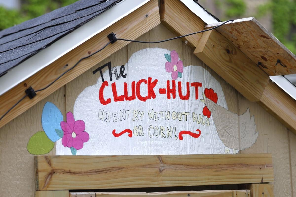 Hut